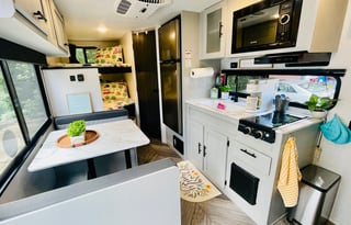 BEE HAPPY GLAMPER 22 Forest River  Salem FSX179DBK