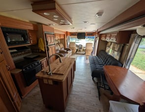 Damon Challenger 348