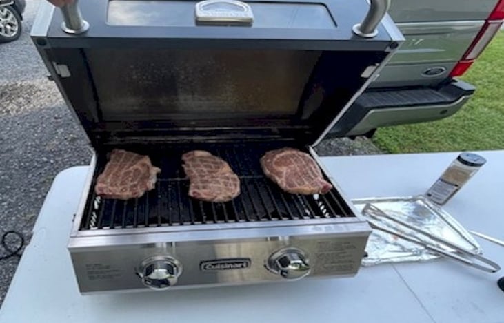 Outdoor gas grill