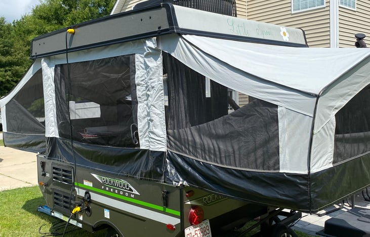 Back view of "Little Sprout".