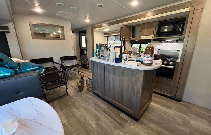 Weekend morning with Coco.