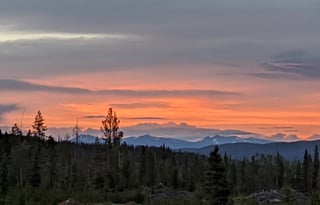 2016 Dutchmen RV Aerolite 242BHS Kids  & Dogs