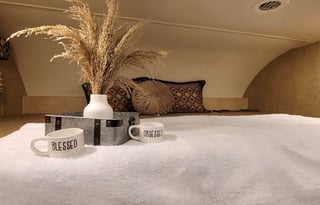 Perfect for a family.Freedom  Elite THOR 29FE