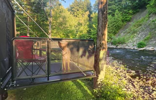 2025 Toy Hauler: Cherokee Grey Wolf 18RR