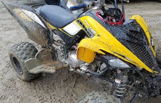 Fun Fun Fun in the Sun