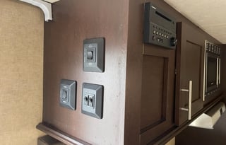 "Wolfy" the Cherokee Wolf Pup