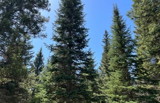 2023 Jayco Jay Flight 267BHS