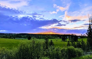 2016 Dutchmen RV Aerolite 242BHS Kids  & Dogs