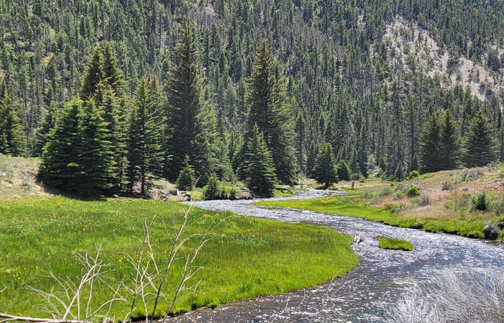 Rio Costilla fly fishing