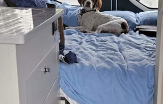 2022 Tiffin Motorhomes Cahaba 19 SC