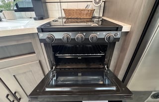 2021 Cruiser Embrace EL310