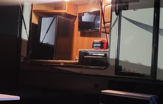 Fun and friendly family bird