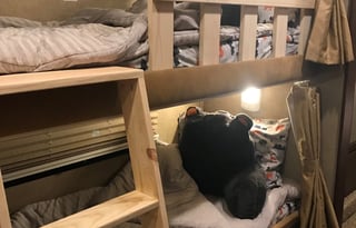 2015 Jayco Greyhawk 31FS ** BUNKHOUSE**