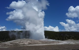 4WD All-Season "Judy" UNLIMITED MILES + Starlink