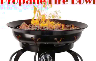 New Geo Pro G20BHS, Sleeps 6, Bunk Beds, Furnished