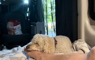 Your Dazzle Adventure Awaits - Thor Dazzle Camper