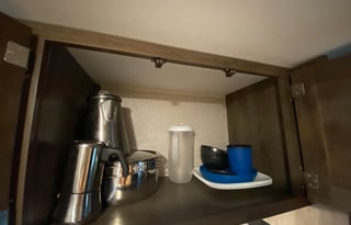 The Light of the Woods