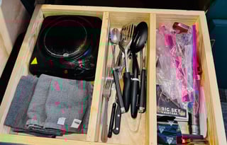 Ramona the ProMaster