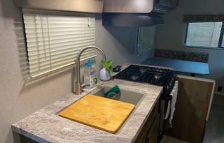 The Light of the Woods