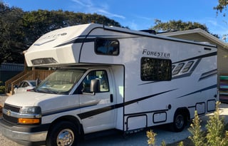 Arwen, the pet friendly lady of the woods