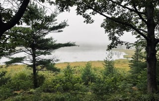 2017 Thor Motor Coach Four Winds 24C