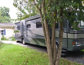 Safari Cheetah 39 PDQ