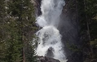 4WD All-Season "Judy" UNLIMITED MILES + Starlink