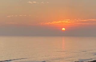 Forest River Cherokee Wolf Pup Black Label