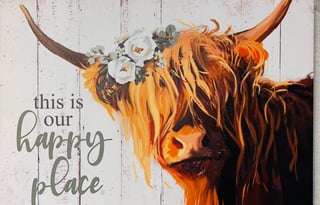 French Creek New Light Weight Travel Trailer