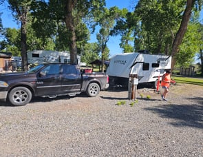 Dutchmen RV Kodiak Cub 177RB