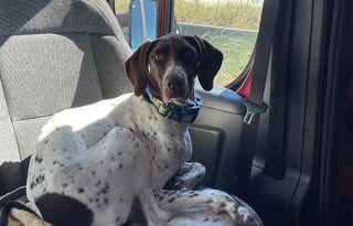 2023 Winnebago Solis 59PX