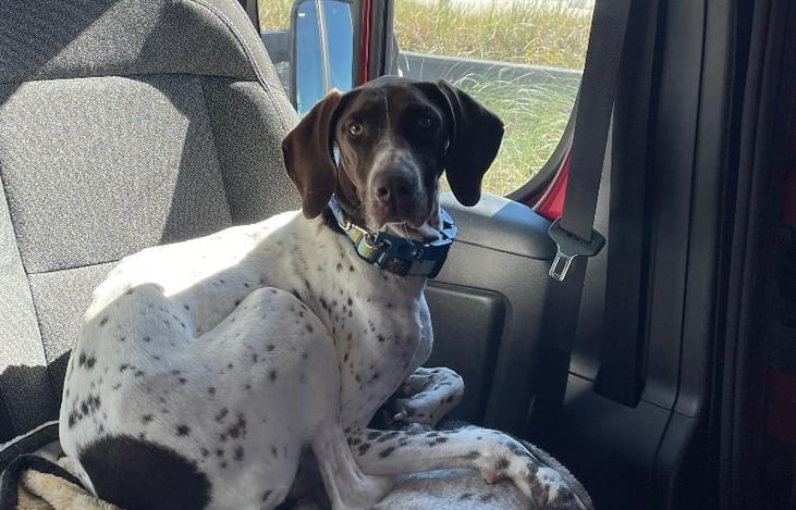 Panama City Beach renter trip.