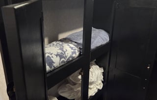 Beau Skye and Willow Dawn's Dog Friendly RV Rental