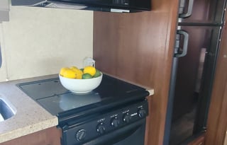 Sarah's Family/Pet Friendly 2016 Forest River RV