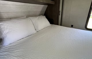 Salty Oak Adventures