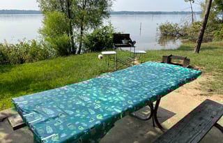 Eleanor - 2021 Winnebago Micro Minnie