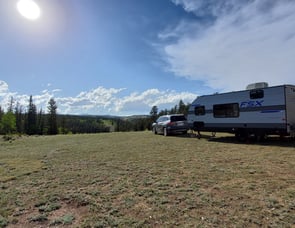 Forest River RV Salem FSX 177BH