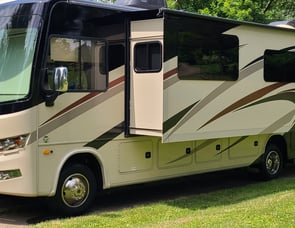 Forest River RV Georgetown 5 Series 31L5