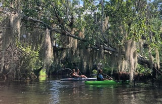 2017 Shasta Oasis 310K