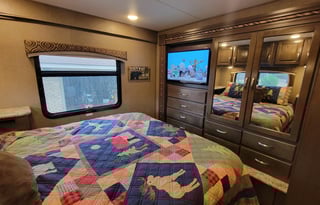 The Bear Necessities