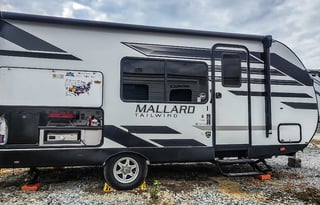 Peace of Mind Mallard Tailwind