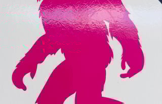 Sassy Sasquatch – Family Bunk w/ Outdoor Kitchen