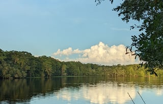 Riverhaven; peace & tranquility on the Suwannee