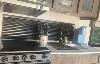 Appalachian Glamper 2021 Forest River Wildwood