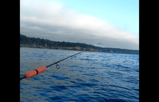 PERFECT Family RV Trailer Bunk House-PetsWelcome