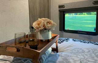 PaRV At The Palace Rental