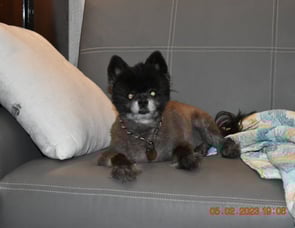 Fleetwood RV Flair 29M