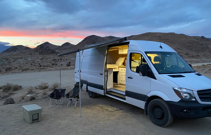 The Great White in its natural environment.