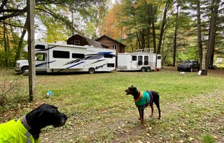 2020 Thor Motor Coach 30D At Tigerbunny Acres Farm