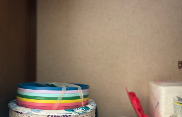 Disposable and kids dishware